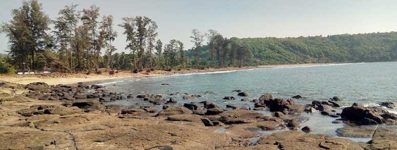 Hedvi
