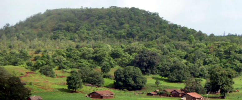 toranmal